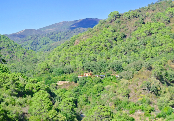 Finca à vendre à Istan